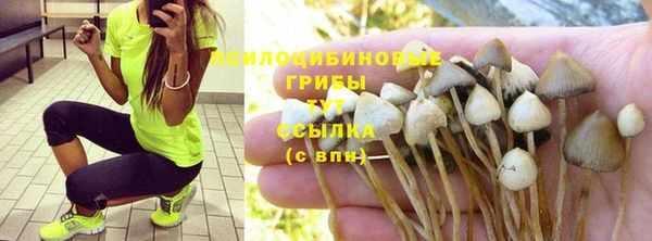 твердый Ладушкин